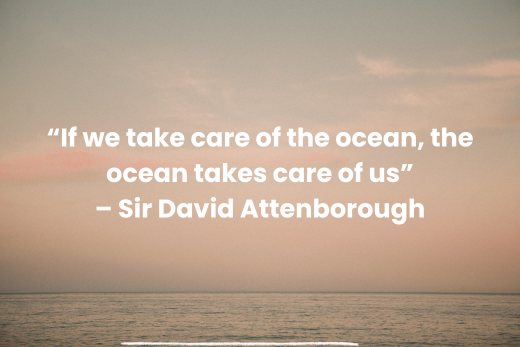 World Oceans Day 2025: Why Protecting Our Oceans Is More Urgent Than Ever