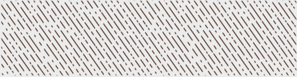 Outer Layer
