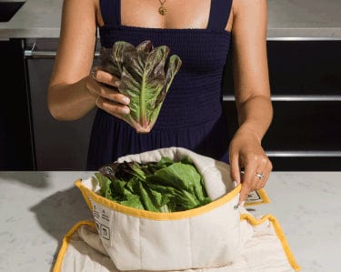 Vejibag Vegetable Storage Bags to Keep Produce Fresh, 3 Sizes, 4 Set  Options on Food52