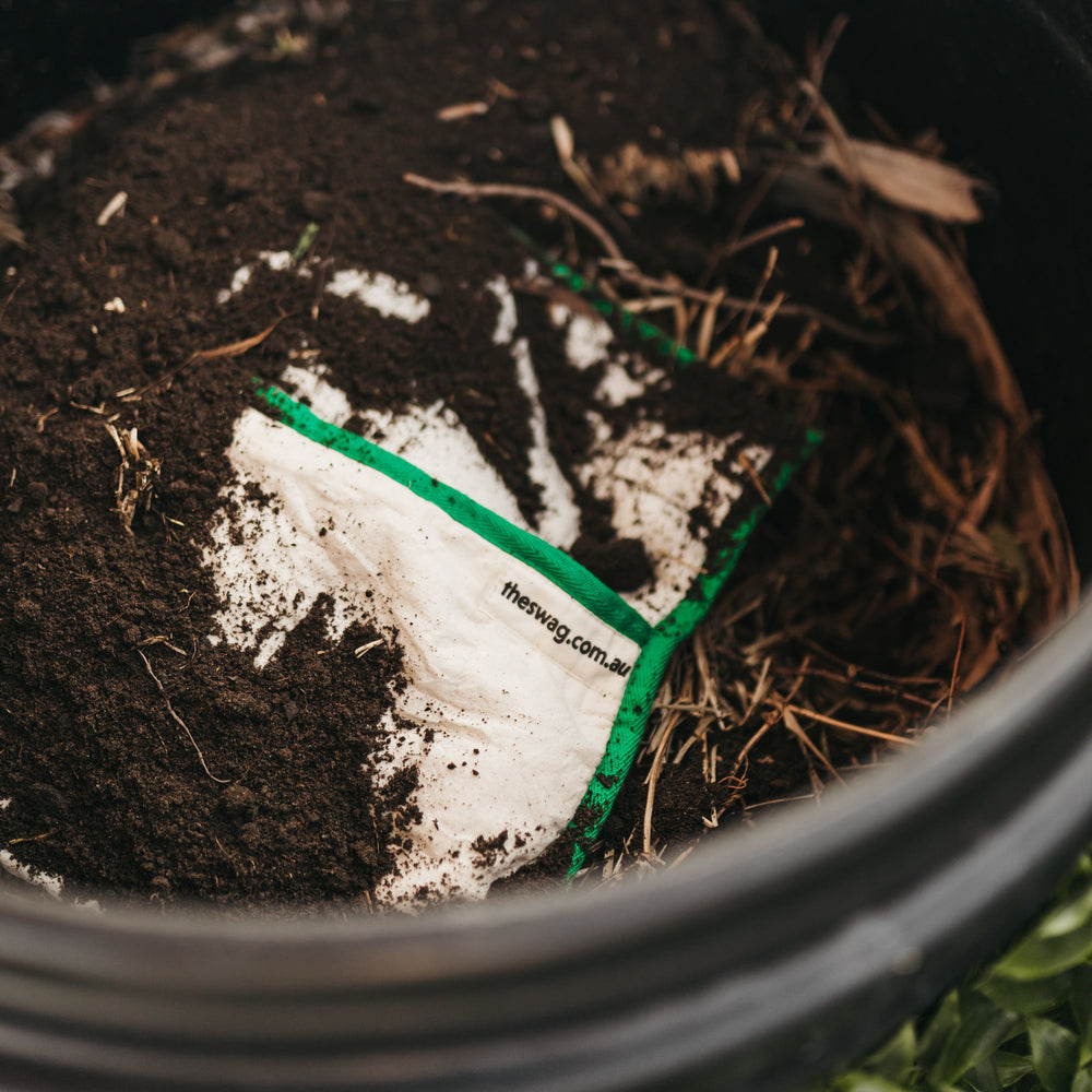 
                      
                        Green Swag buried in the dirt as the reusable all of our reusable Swags are compostable - The Swag AU
                      
                    
